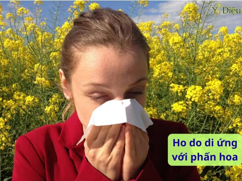 Ho Do Dị Ứng Với Phấn Hoa, Phương Pháp Chuẩn Đoán Dị Ứng